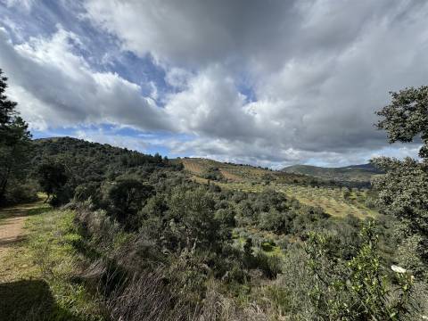 Quinta para Venda em Vilarinho das Azenhas com cerca de 18ha