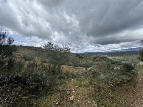 Quinta para Venda em Vilarinho das Azenhas com cerca de 18ha