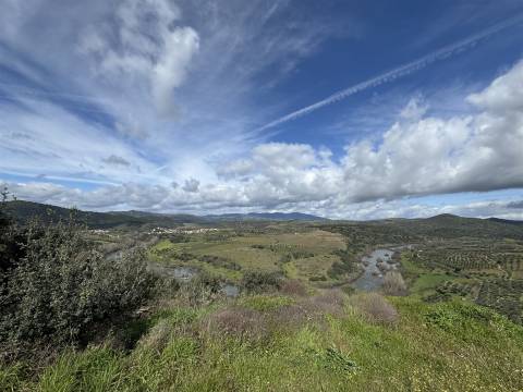 Quinta para Venda em Vilarinho das Azenhas com cerca de 18ha