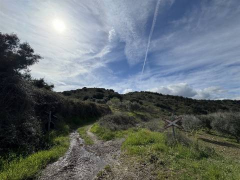 Quinta para Venda em Vilarinho das Azenhas com cerca de 18ha