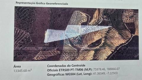 Quinta para Venda em Vilarinho das Azenhas com cerca de 18ha