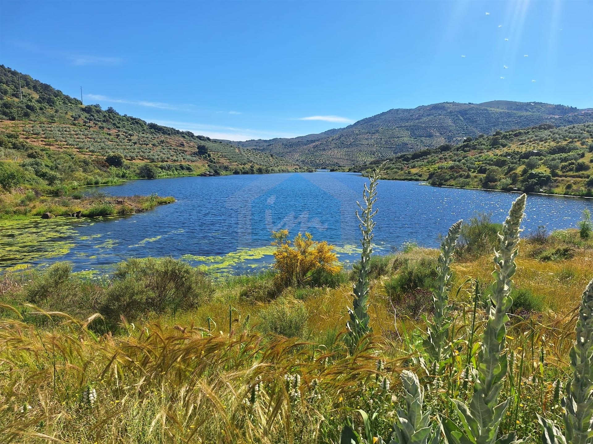 Quinta para venda em Vila Flor
