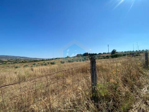 Terreno para venda com projeto de arquitetura aprovado em Carvalhais - Mirandela.