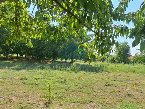 Terreno com 10.360m² para venda com viabilidade de construção de uma moradia