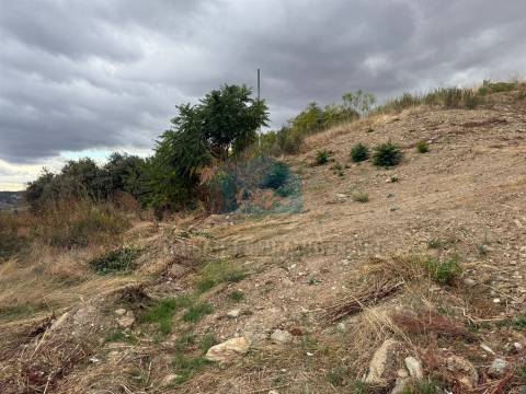 Terreno para Construção com uma vista maravilhosa para a cidade de Mirandela