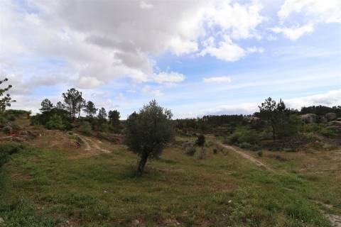 Quinta para venda em Vale de Telhas - Mirandela.