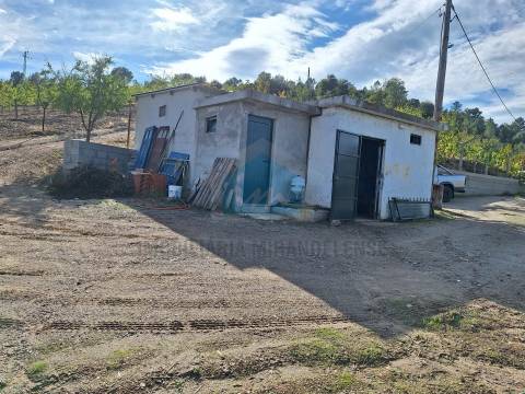 Terreno Rústico para venda