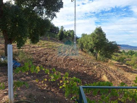 Terreno Rústico para venda