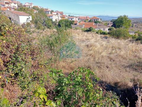Terreno para construção em Vilarinho da Castanheira