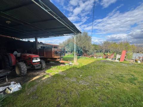 Moradia em Suçães com mais de 7,5 hectares de terrenos anexos