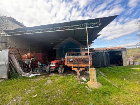 Moradia em Suçães com mais de 7,5 hectares de terrenos anexos