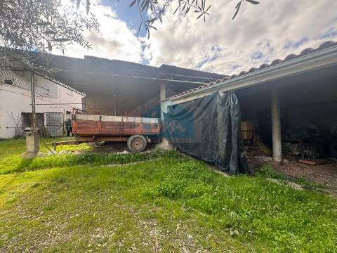 Moradia em Suçães com mais de 7,5 hectares de terrenos anexos