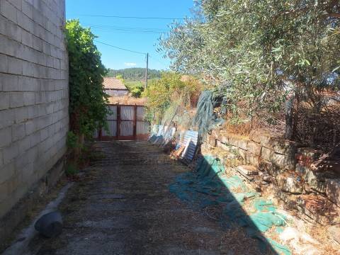 Moradia em Suçães com mais de 7,5 hectares de terrenos anexos