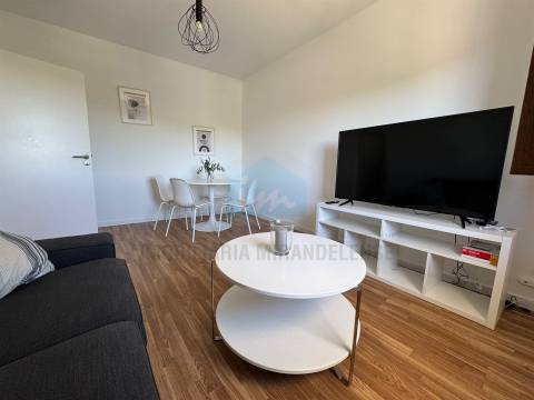 Imóvel remodelado composto por 2 apartamentos totalmente mobilados e equipados em Mirandela