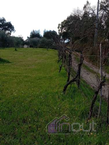Excelente Propriedade Rural com 4.700m², Construção e Abundância de Água – Oportunidade Única para H