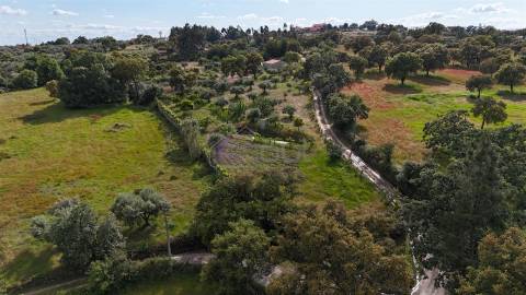 Excelente Propriedade Rural com 4.700m², Construção e Abundância de Água – Oportunidade Única para H