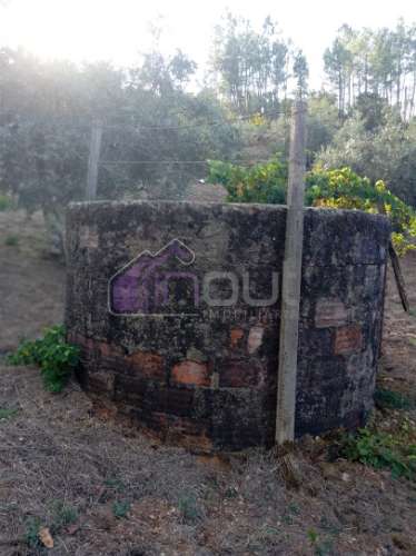 Quinta Rural com 13.000m² – Poço, Nascente, Furo Artesiano e Excelente Solo Agrícola na Abitureira (