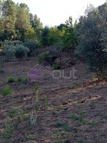 Quinta Rural com 13.000m² – Poço, Nascente, Furo Artesiano e Excelente Solo Agrícola na Abitureira (