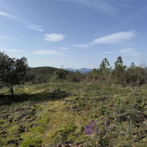Terreno Rústico com 39.000m² – Potencial para Construção, Agricultura ou Lazer, com Vista Panorâmica