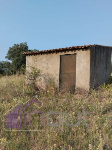 Quinta com 3 Hectares – Olival Tradicional, Árvores de Fruto e Excelentes Acessos junto à Nacional 1