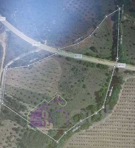 Quinta com 3 Hectares – Olival Tradicional, Árvores de Fruto e Excelentes Acessos junto à Nacional 1