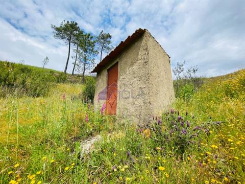 Casa de Aldeia Encantadora Junto ao Rio – Refúgio na Serra a 25km da Cidade