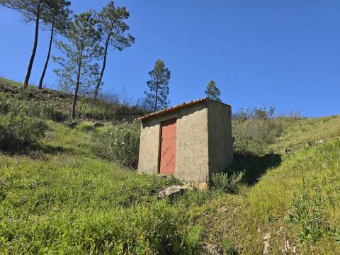 Casa de Aldeia Encantadora Junto ao Rio – Refúgio na Serra a 25km da Cidade