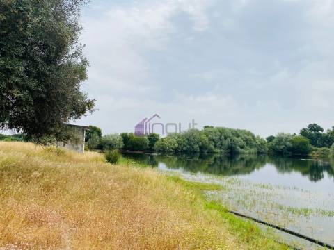 Propriedade Agrícola com 20 Hectares – Excelente Potencial e Preço Atraente