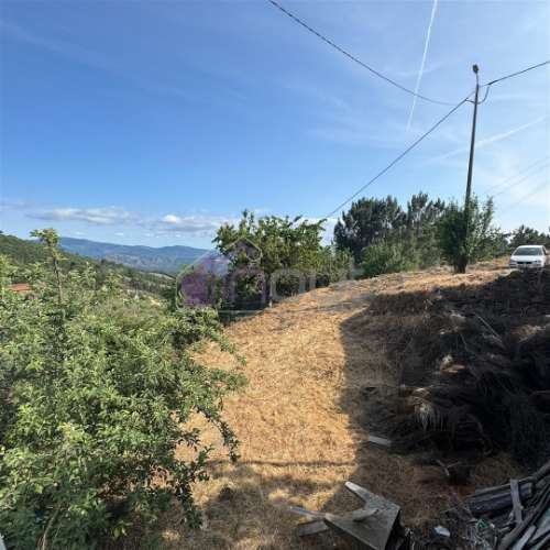 Refúgio de Sonho em Plena Natureza – Quinta com 21.570 m², 2 Moradias, Furo e Árvores de Fruto | Arr