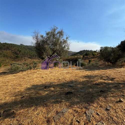 Moradia T4 Venda em Fratel,Vila Velha de Ródão