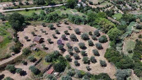 Terreno Rústico  Venda em Ladoeiro,Idanha-a-Nova