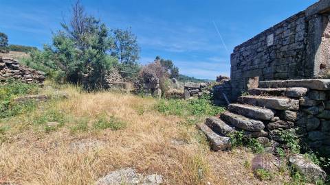 Quinta do Sobreiro – 26 Hectares de História, Natureza e Potencial no Coração da Beira Interior