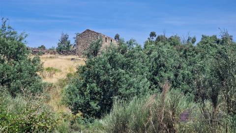 Quinta do Sobreiro – 26 Hectares de História, Natureza e Potencial no Coração da Beira Interior