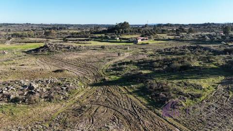 🌳 Terreno com 10 ha, Murado, com Casa Rústica em Pedra – Próximo de Escalos de Cima, Castelo Branco
