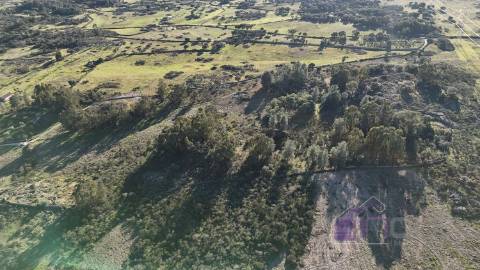 🌳 Terreno com 10 ha, Murado, com Casa Rústica em Pedra – Próximo de Escalos de Cima, Castelo Branco