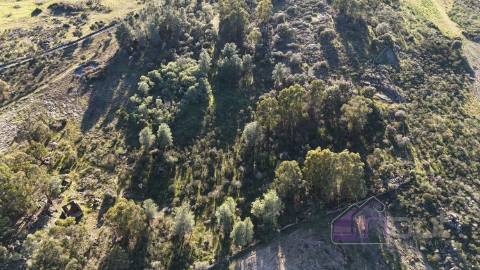 🌳 Terreno com 10 ha, Murado, com Casa Rústica em Pedra – Próximo de Escalos de Cima, Castelo Branco