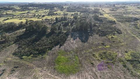 🌳 Terreno com 10 ha, Murado, com Casa Rústica em Pedra – Próximo de Escalos de Cima, Castelo Branco