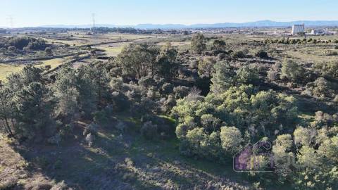 🌳 Terreno com 10 ha, Murado, com Casa Rústica em Pedra – Próximo de Escalos de Cima, Castelo Branco
