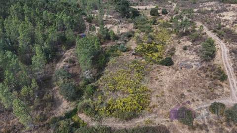 Terreno Rústico com Ruína e Construção Rural no Salgueiro do Campo – Castelo Branco