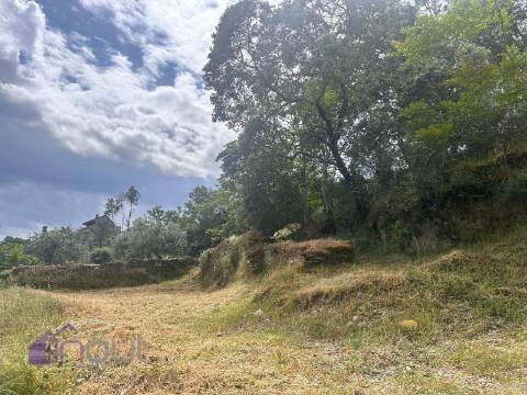Quinta T1 Venda em Castelo Branco,Castelo Branco
