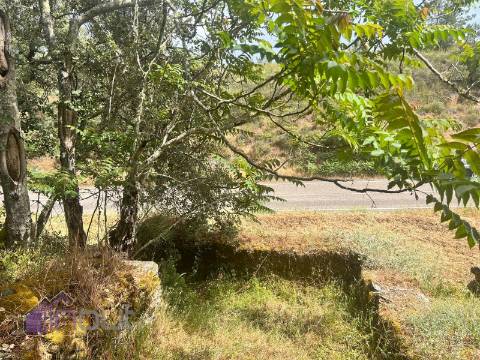 Quinta T1 Venda em Castelo Branco,Castelo Branco