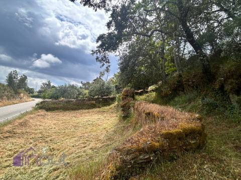 Quinta T1 Venda em Castelo Branco,Castelo Branco