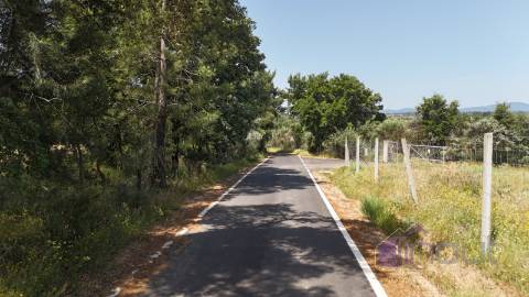 Terreno Rústico  Venda em Póvoa de Rio de Moinhos e Cafede,Castelo Branco