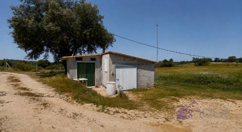Terreno Rústico  Venda em Póvoa de Rio de Moinhos e Cafede,Castelo Branco