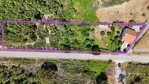 Moradia T4 Venda em Almaceda,Castelo Branco
