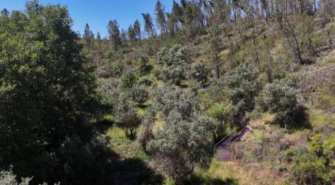 Quinta T2 Venda em Sarzedas,Castelo Branco
