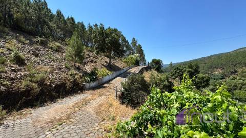 Moradia T4 Venda em Almaceda,Castelo Branco