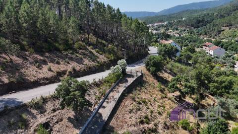 Moradia T4 Venda em Almaceda,Castelo Branco
