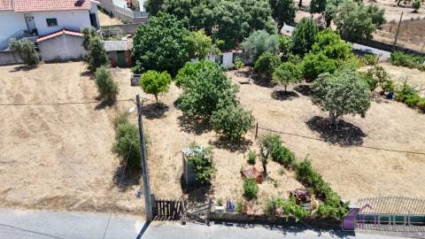 Terreno Para Construção  Venda em Tinalhas,Castelo Branco