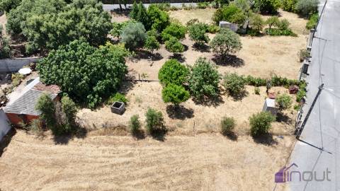 Terreno Para Construção  Venda em Tinalhas,Castelo Branco